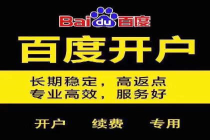行业领先企业的SEM广告策略与效果分析