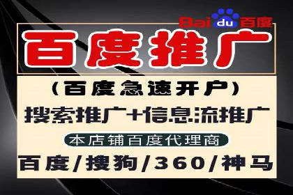 某电商平台的SEM推广实践与效果展示